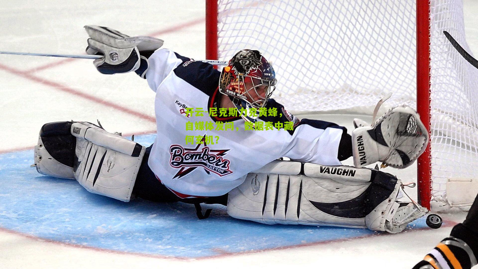 尼克斯力克黄蜂，自媒体发问，数据表中藏何玄机？